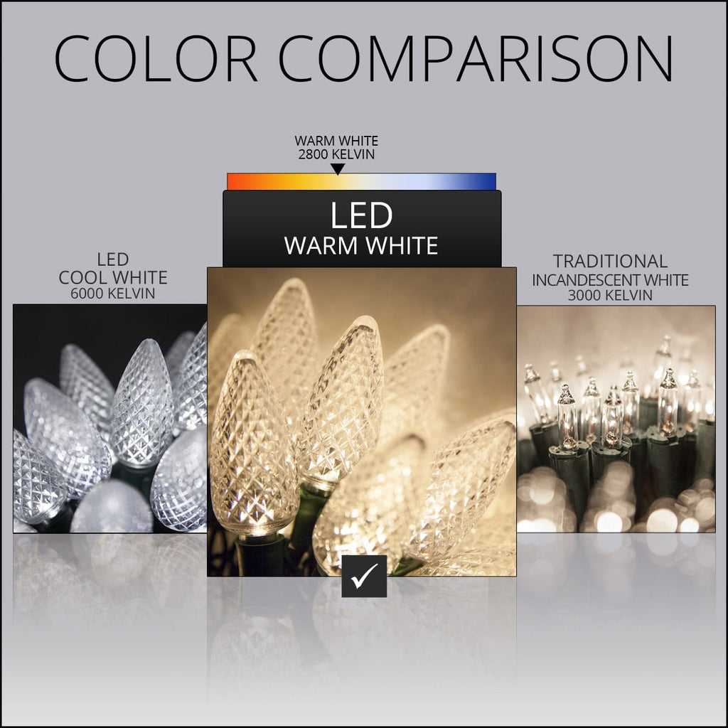 Wintergreen Lighting White LED String Lights Holiday Lightings, 17' (25 Count)