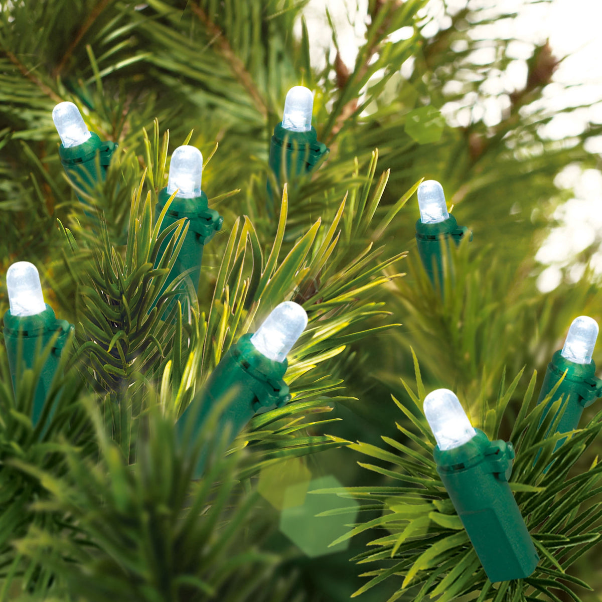 Indoor/Outdoor 240-Count LED Dome Christmas String Lights, Warm White, Green Wire, 47', by Holiday Time