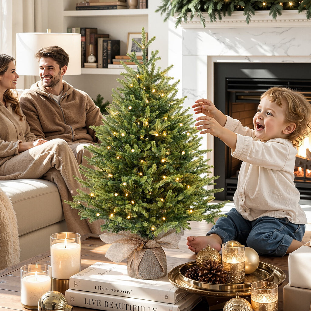 Lolsea 2ft Prelit Artificial Small Mini Christmas Tree with Color LED Lights, Remote Control and Timer, Perfect for Xmas Tabletop Decorations