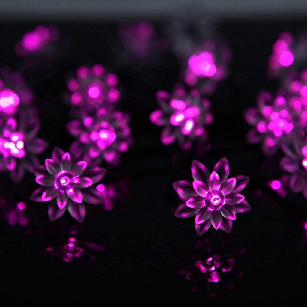 HESHENG Solar Lotus Flowers String Lights, Waterproof 40ft 100LEDs Lights Fairy Lights Outdoor 8 Modes Festival Lighting for Patio Yard Tree Wedding Party Christmas Decoration, Multicolor