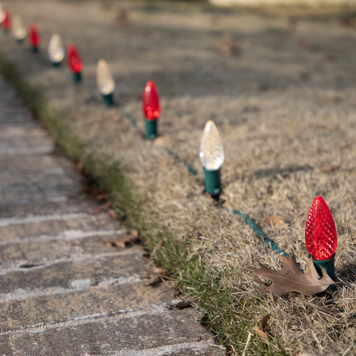 Canny Systems Christmas Light Ground Stakes for C7/C9 Pathway Lights, 11-Inch, 25 Pack, Outdoor