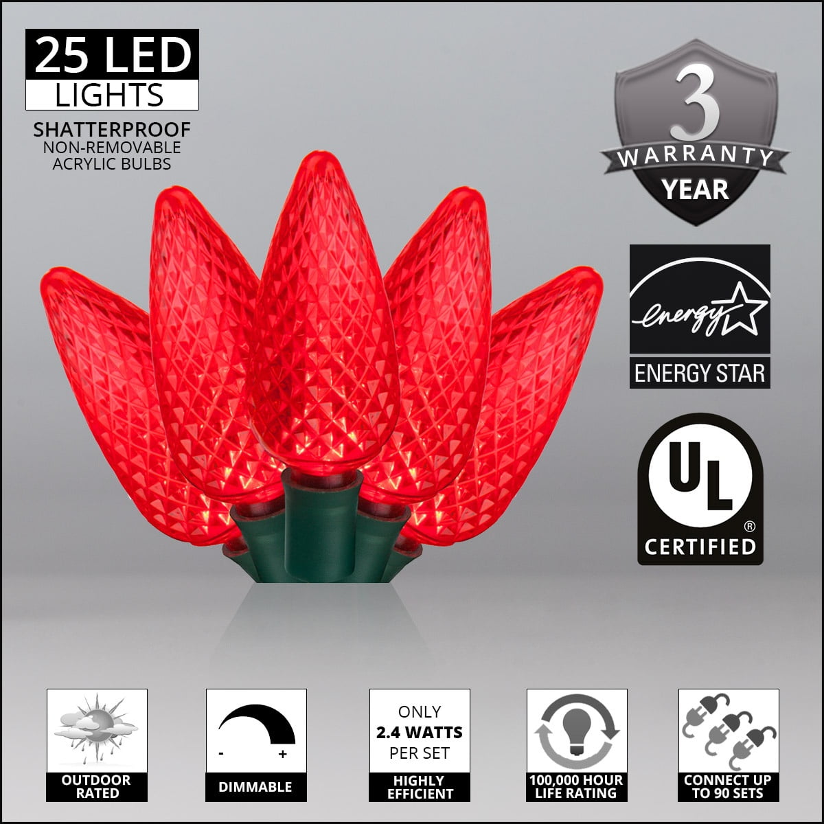 Wintergreen Lighting White LED String Lights Holiday Lightings, 17' (25 Count)