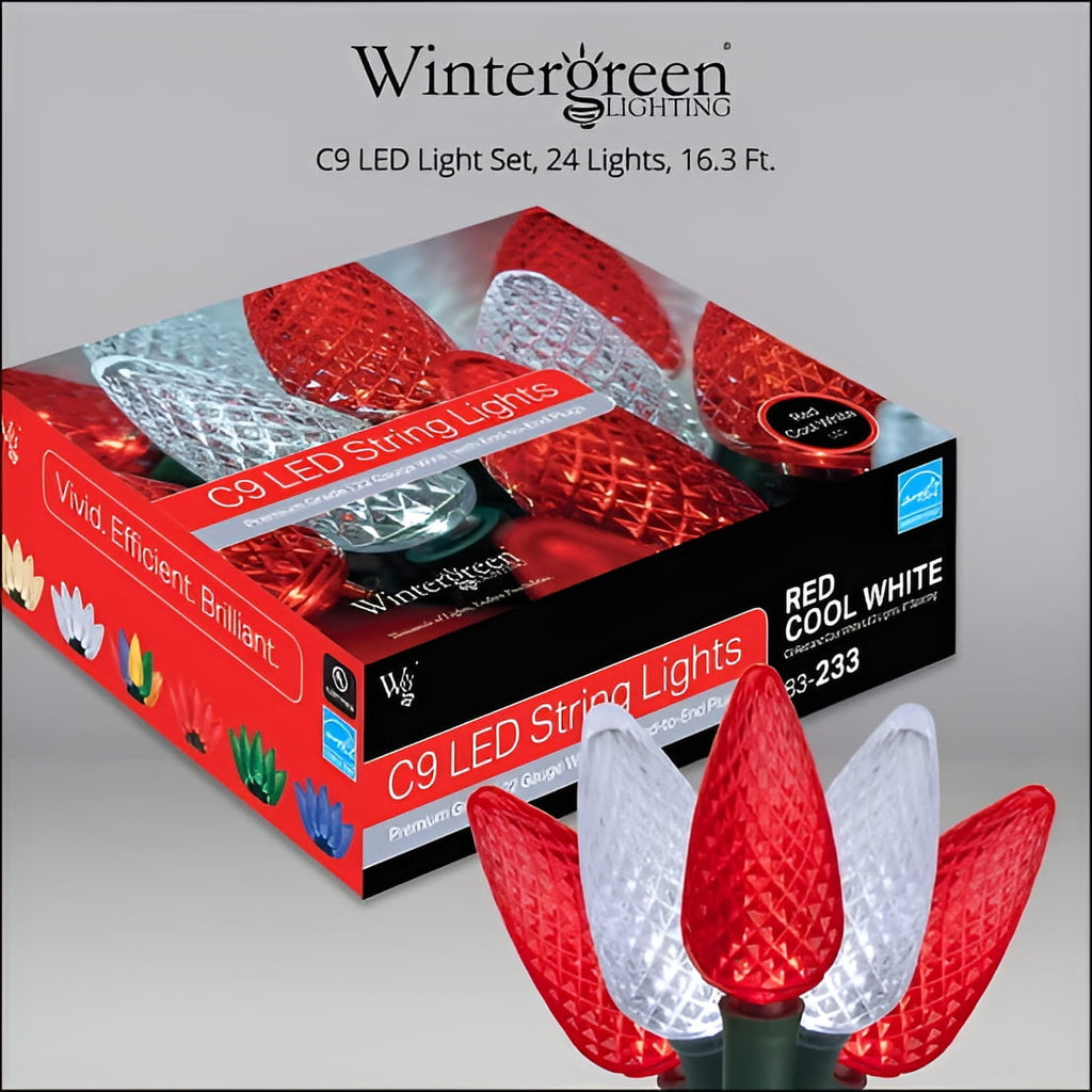 Wintergreen Lighting White LED String Lights Holiday Lightings, 17' (25 Count)