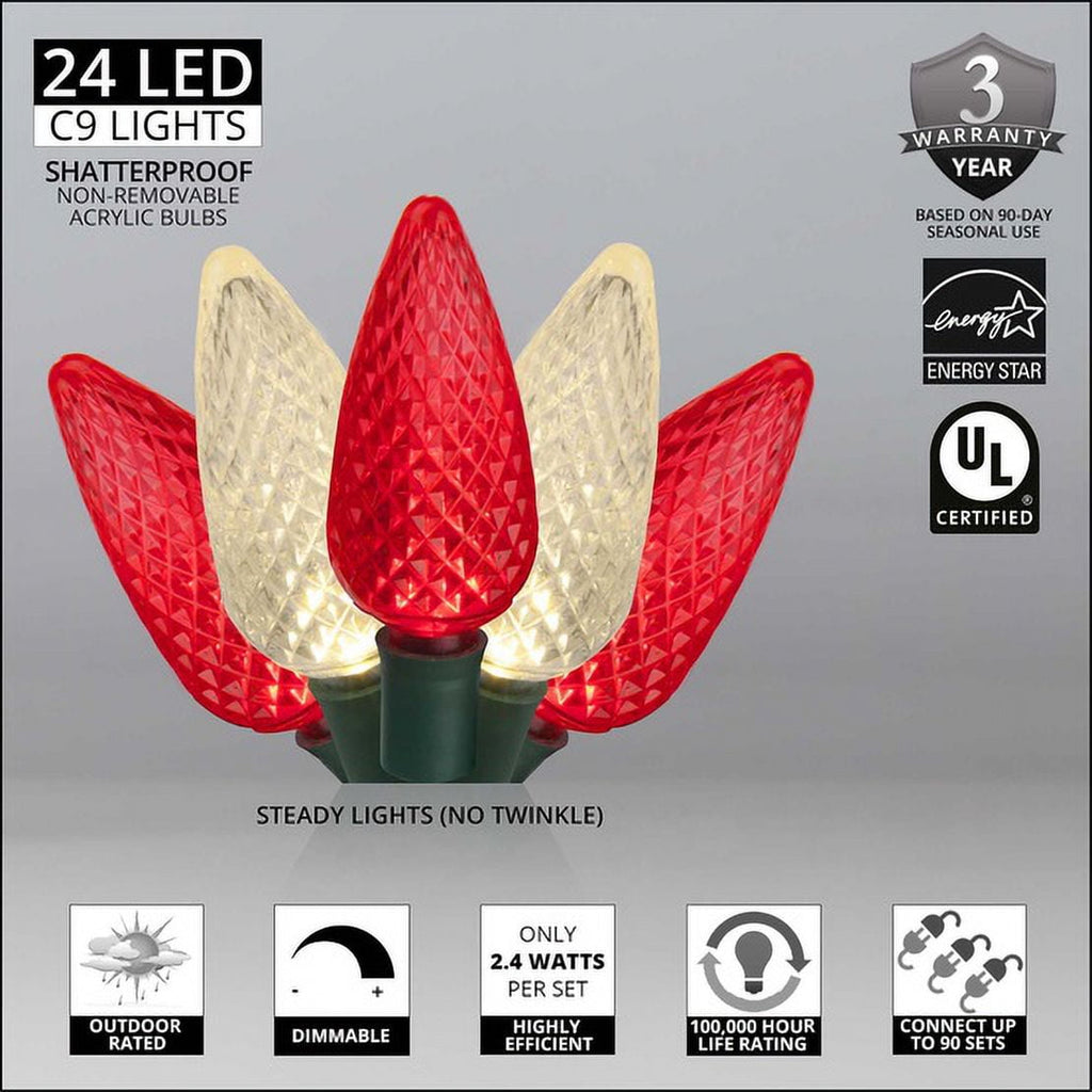 Wintergreen Lighting White LED String Lights Holiday Lightings, 17' (25 Count)