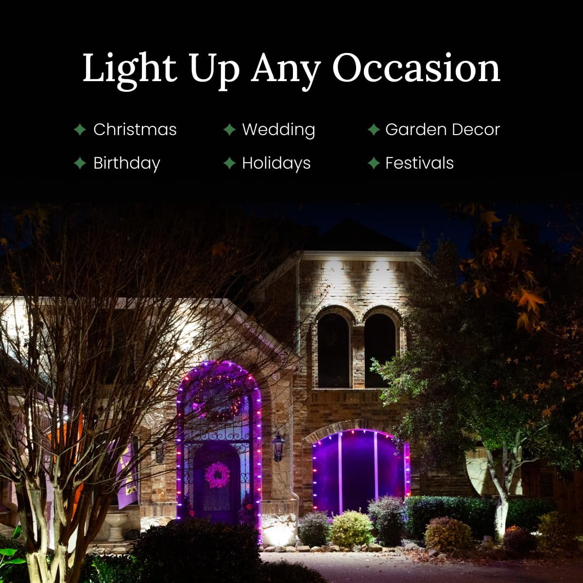 Christmas Designers C9 LED Christmas Light Kit, 100 Green Bulbs, 100' Green Wire, 12" Spacing, 7.5" Pathway Stakes