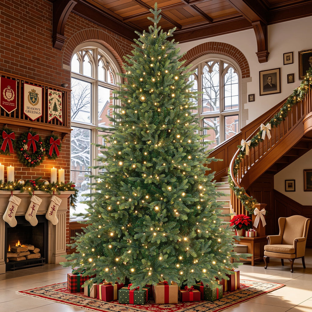 Lolsea 7ft Prelit PE Noble Fir Artificial Christmas Tree with Remote Control, Timer and Warm White & Multi-Color Lights