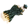Holiday Living 100--Count Clear Mini Christmas Lights L1100120CU12