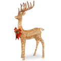 National Tree Company Pre-Lit Champagne Standing Reindeer, Warm White LED Lights, 48 Inch, Indoor or Outdoor Use.