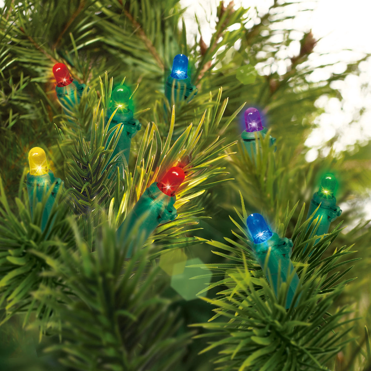 Indoor/Outdoor 240-Count LED Dome Christmas String Lights, Warm White, Green Wire, 47', by Holiday Time