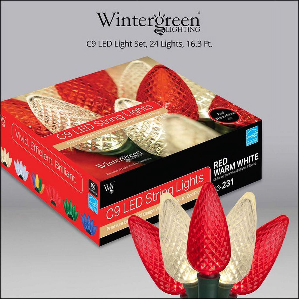 Wintergreen Lighting White LED String Lights Holiday Lightings, 17' (25 Count)