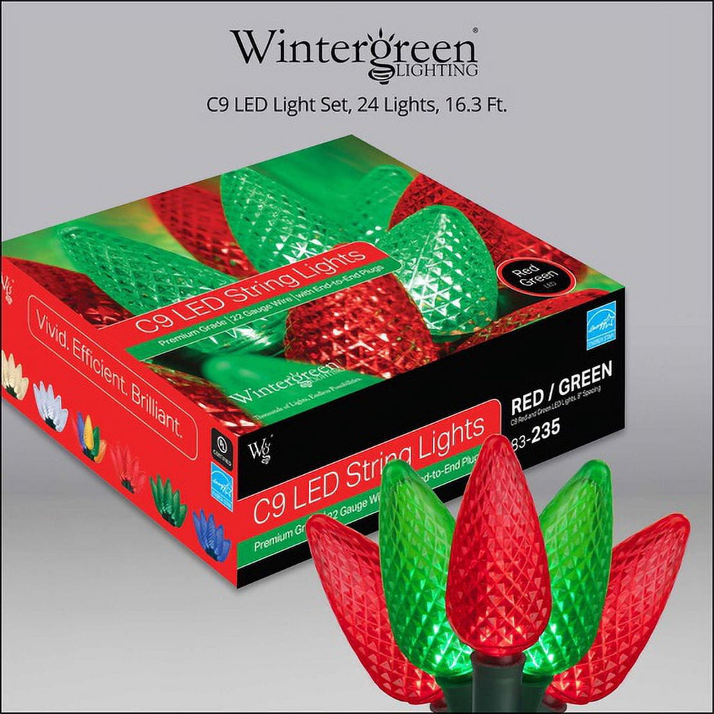 Wintergreen Lighting White LED String Lights Holiday Lightings, 17' (25 Count)