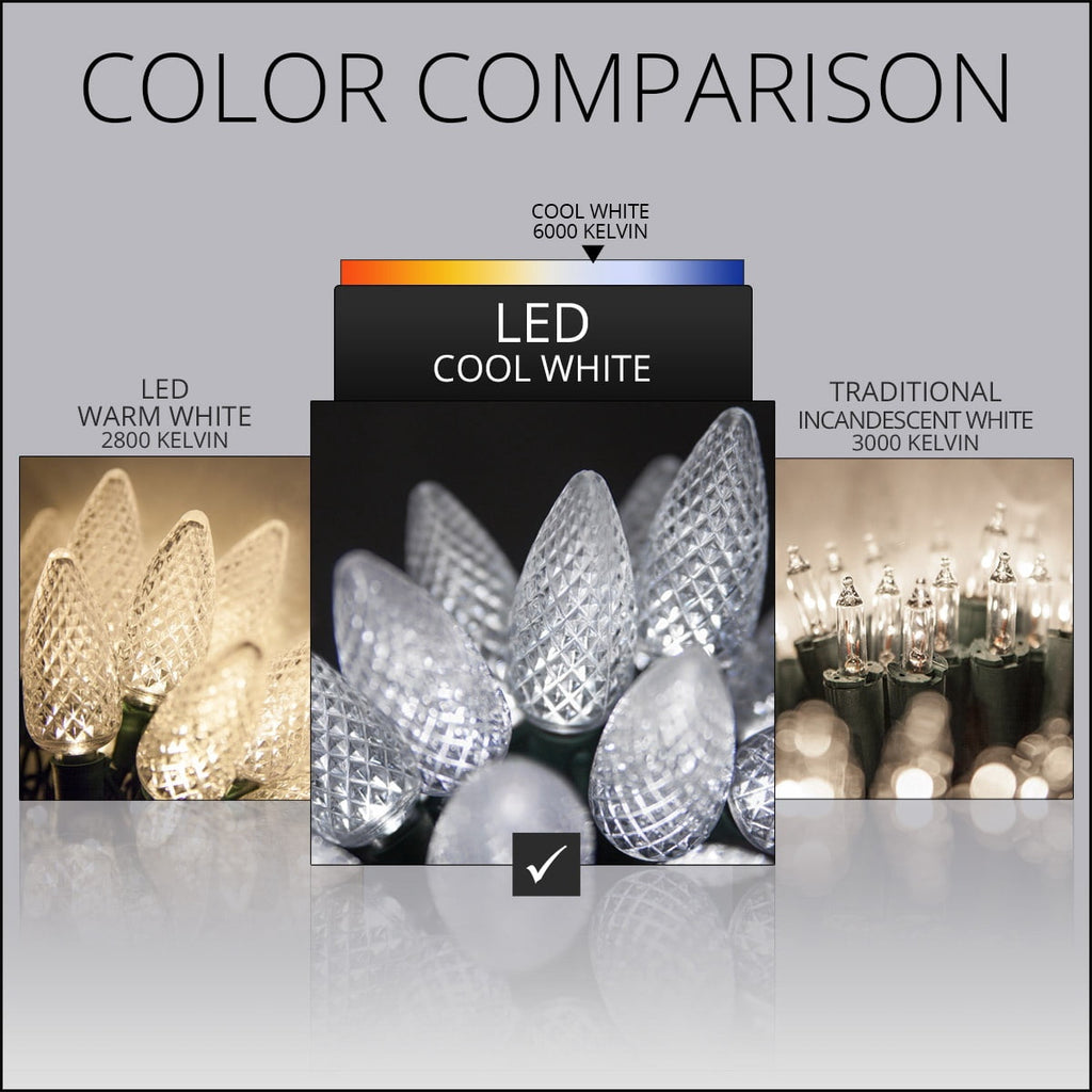 Wintergreen Lighting White LED String Lights Holiday Lightings, 17' (25 Count)