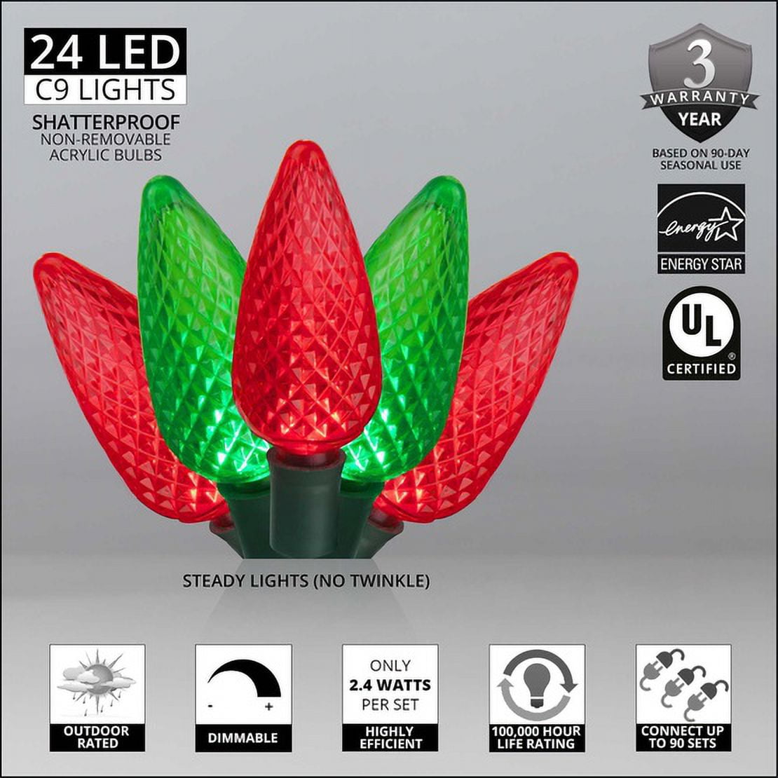 Wintergreen Lighting White LED String Lights Holiday Lightings, 17' (25 Count)